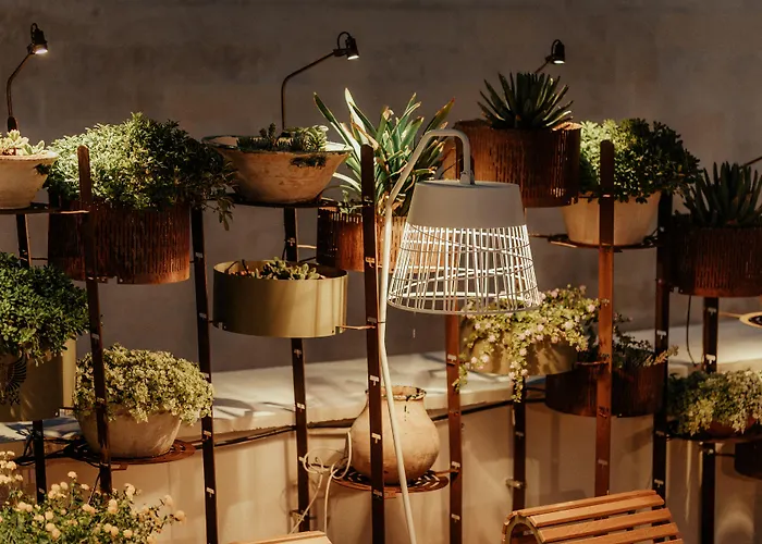 Boetiek hotel: Pollicastro Boutique Hotel